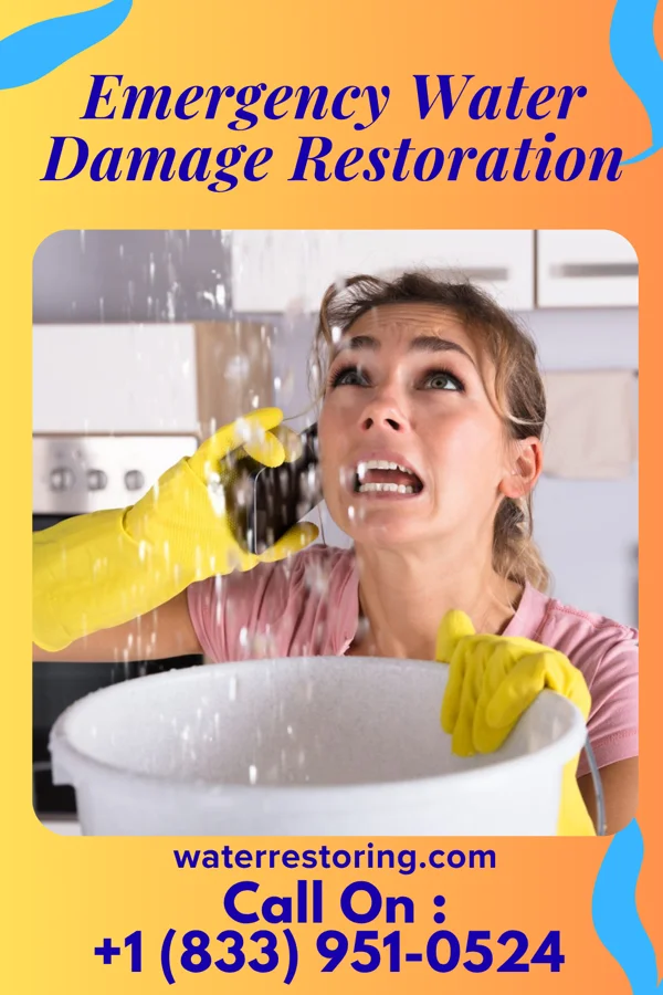 Emergency Water Damage Restoration in Patton Village, CA