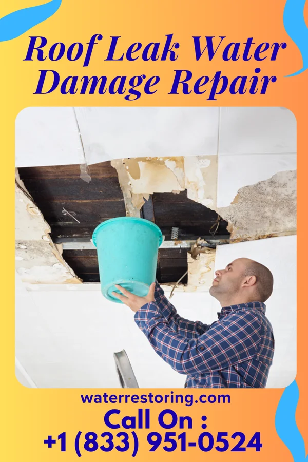 Roof Leak Water Damage Repair in Patton Village, CA